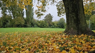 Herfst