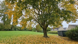 Herfst