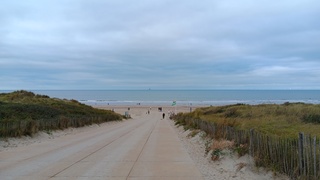 Strand Ter Heijde