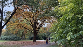 Leijpark