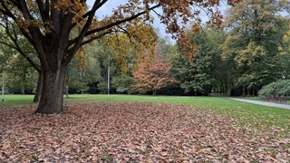 Herfstkleuren