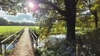 Tóch nog een zonnetje!