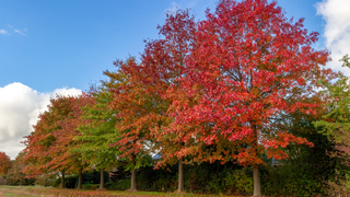 Prachtig herfstweer!