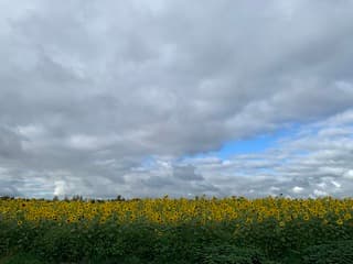 Net over de grens bij Winterswijk