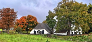 Herfstkleuren in Arnhem 