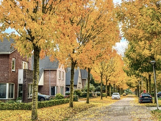 Herfst 