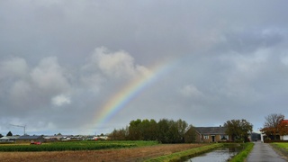Regenboogweer