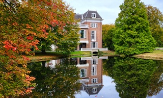 Veel kleur op deze grijze dag...
