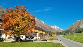 Alpen: herfst kleuren