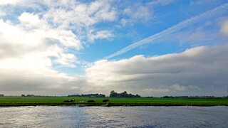 Opklaringen