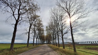 Herfstgezicht in de polder....