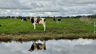 Wolkenvelden 