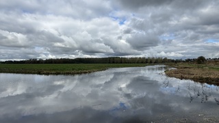 Bewolking 