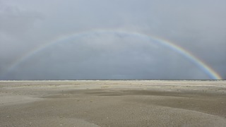 Regenboog