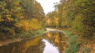 Herfstkleuren weerspiegeld