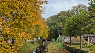 Herfst kleuren
