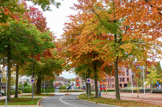 Herfst in Barneveld