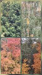 Herfst collage
