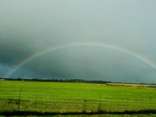 Regenboog 