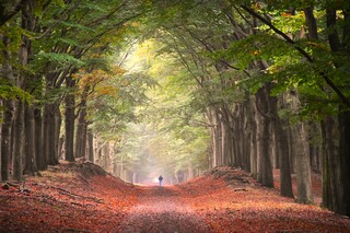 Herfst