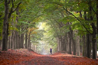 Herfst