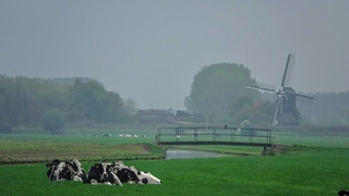 Grijsachtig weer.
