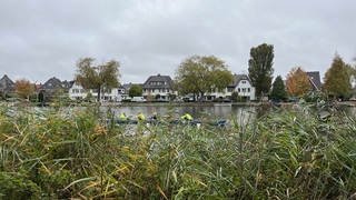 Roeiers op een vroege woensdagochtend 