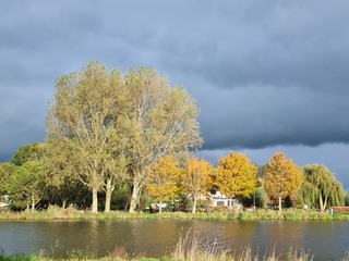 Dreigende donkere lucht en herfstgetooide bomen