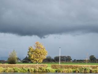 Herfst 