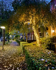 Woonstraat in sprookjesachtige sfeer 