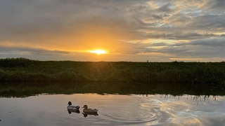 Zonsopkomst 