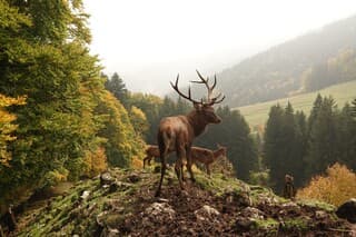 Prachtig herfstweer 