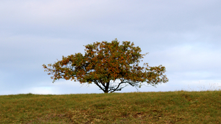 Zon, en regen vandaag.