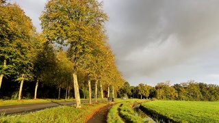 mooie herfst kleuren 
