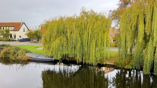 mooie herfst kleuren 
