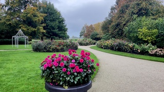 mooie herfst kleuren 
