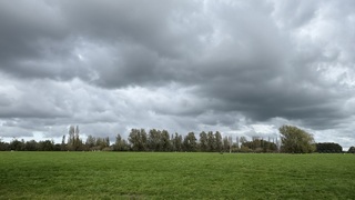 Bui