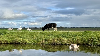 Opklaringen 