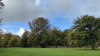 Opklarend 