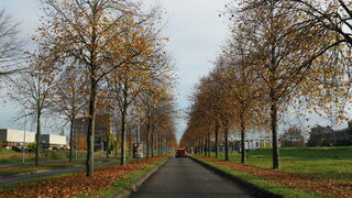 HERFST