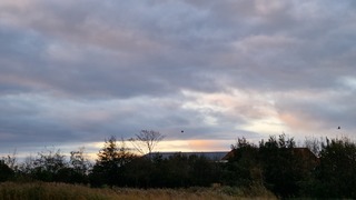 Kleurrijke ochtendluchten boven Texel 
