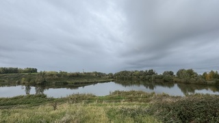 Wolkenvelden 