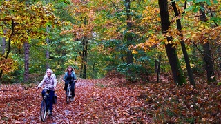 Natte herfstbladeren op fietspad...glad !!!
