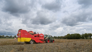 Prima weer vandaag om de aardappelen te rooien