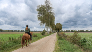 Overwegend bewolkt maar prima weer voor een buiten aktiviteit
