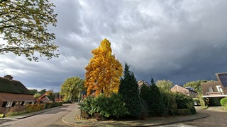 Bui boven Holten vanmiddag rond 1445 uur, mooi herfst gekleurde boom op voorgrond