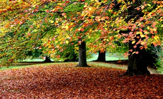 Veel bewolking,  glimp van de zon 