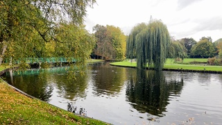  prachtige herfst kleuren 