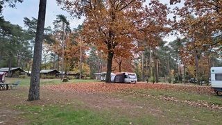 Herfst!