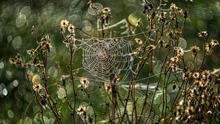 Een frisse en vochtige ochtend 